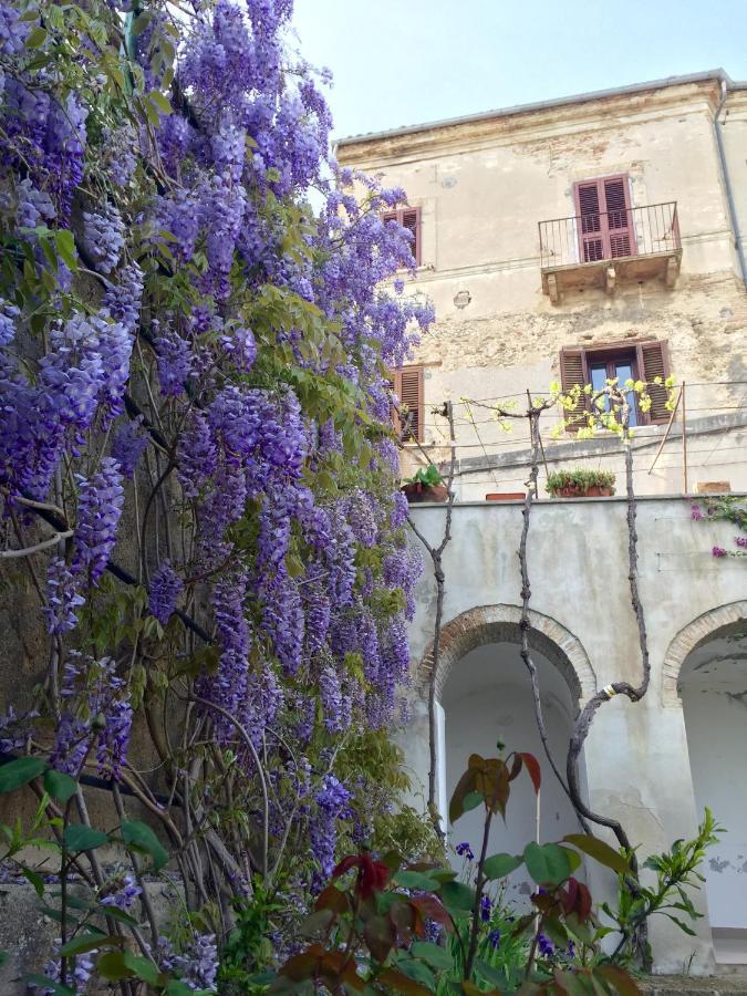 Rosciano Palazzo De Fabritiis住宿加早餐旅馆 外观 照片
